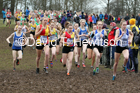 Womens under-20s, 2020 British Athletics Inter Counties Cross Country Champs., Prestwold Hall, Loughborough. Photo: David T. Hewitson/Sports for All Pics